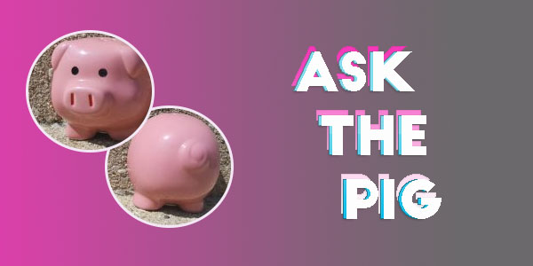 ask the pig